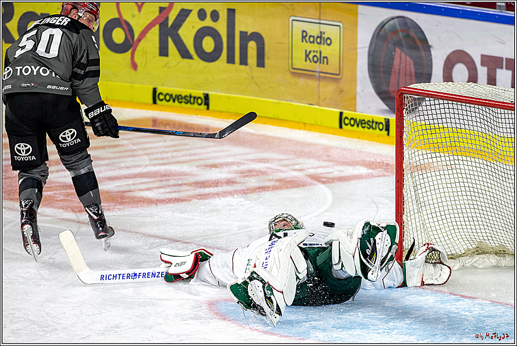 DEL; Koelner Haie - Augsburger Panther, 14.11.2018